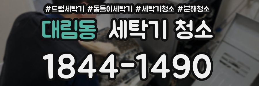 대림동 세탁기 청소