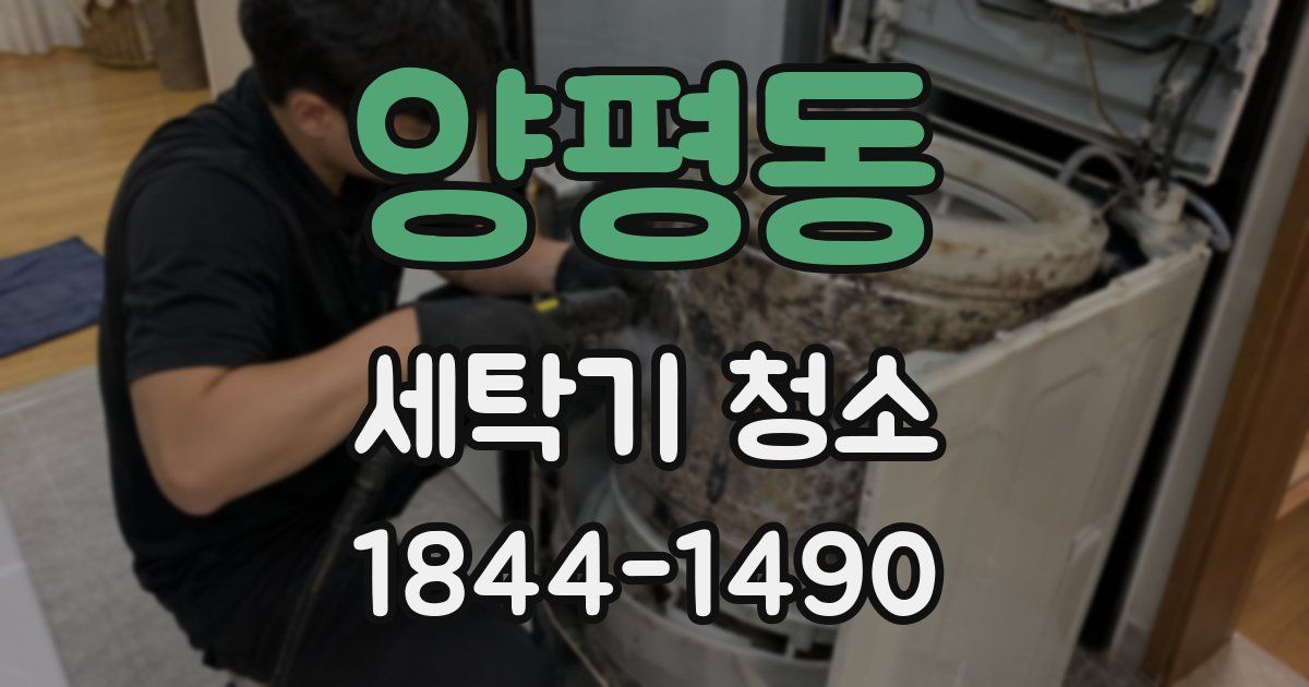 양평동 세탁기 청소