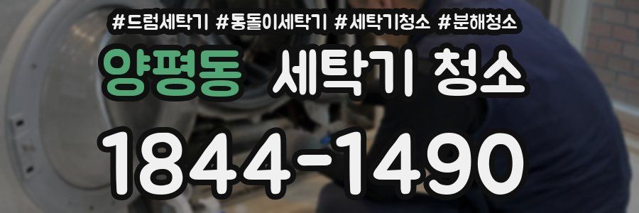 양평동 세탁기 청소
