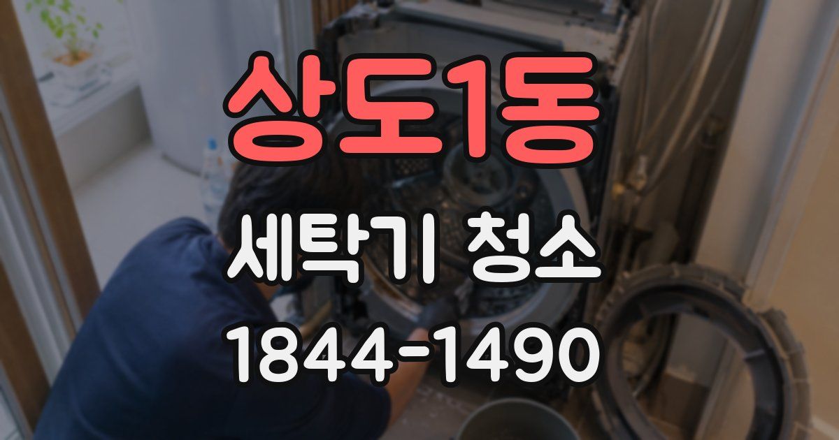 상도1동 세탁기 청소