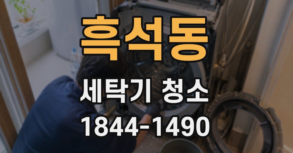 흑석동 세탁기 청소