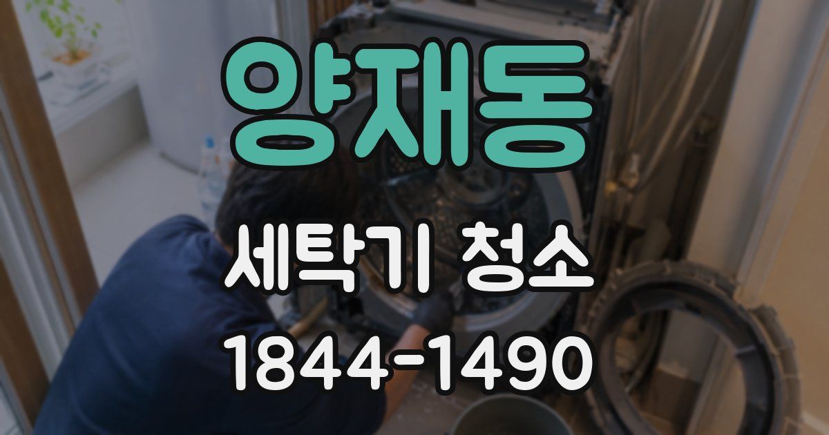 양재동 세탁기 청소