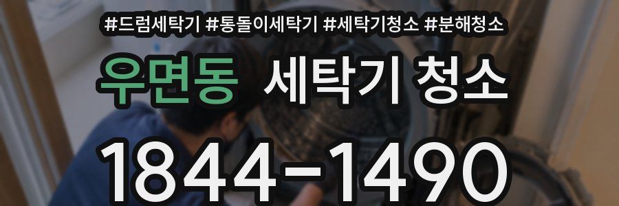 우면동 세탁기 청소