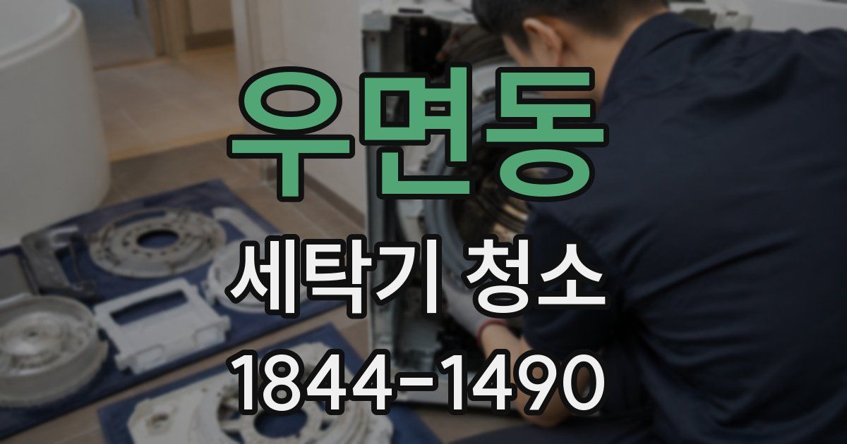 우면동 세탁기 청소