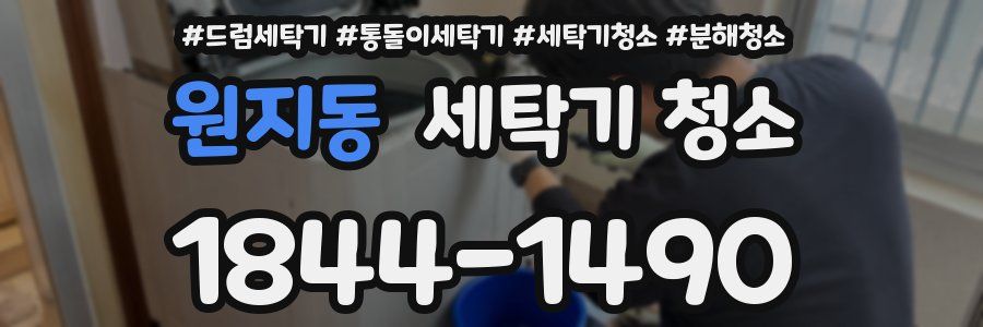 원지동 세탁기 청소