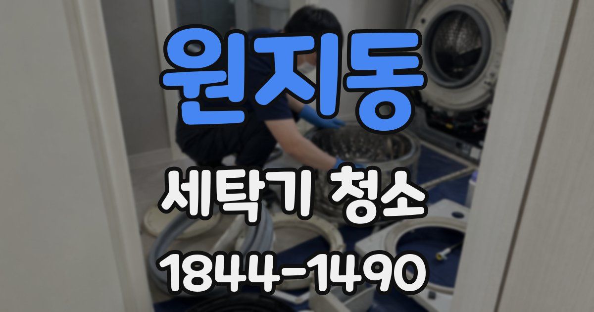 원지동 세탁기 청소
