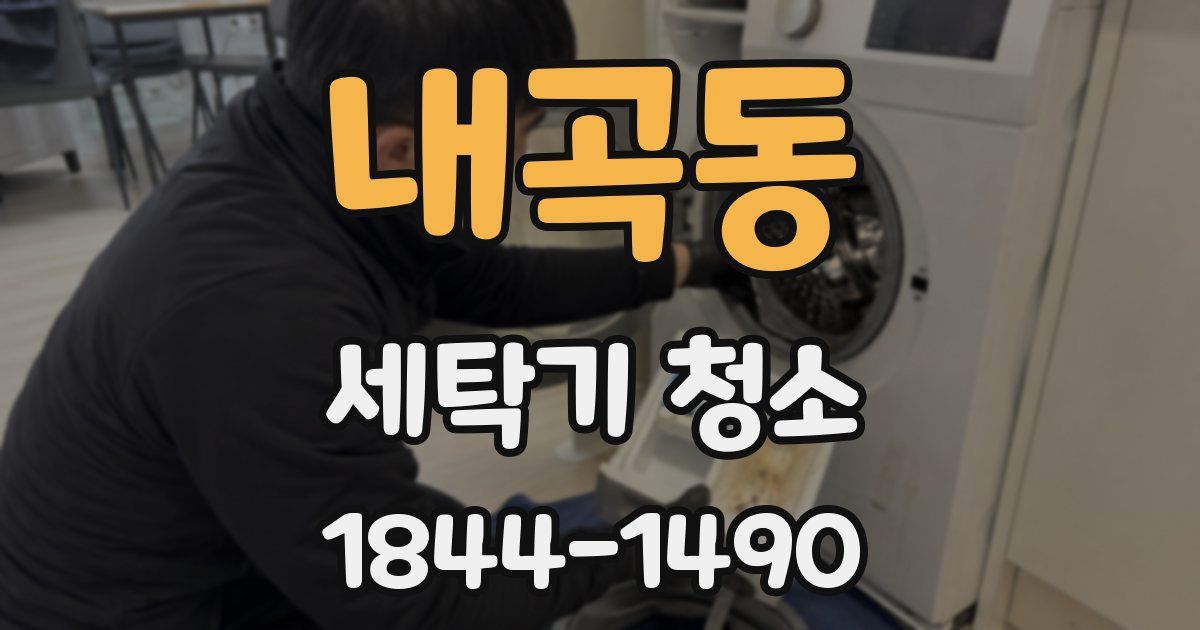 내곡동 세탁기 청소