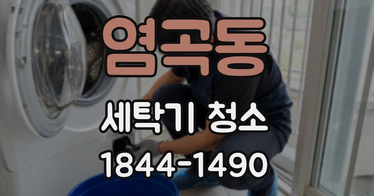 염곡동 세탁기 청소