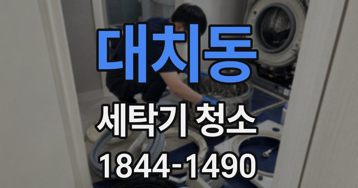 대치동 세탁기 청소