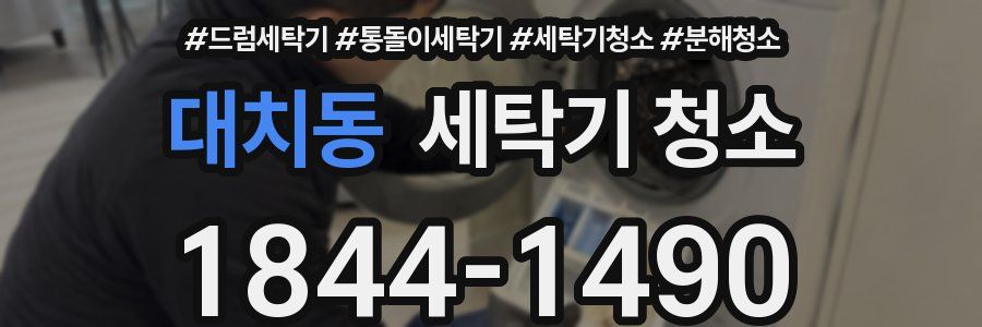 대치동 세탁기 청소