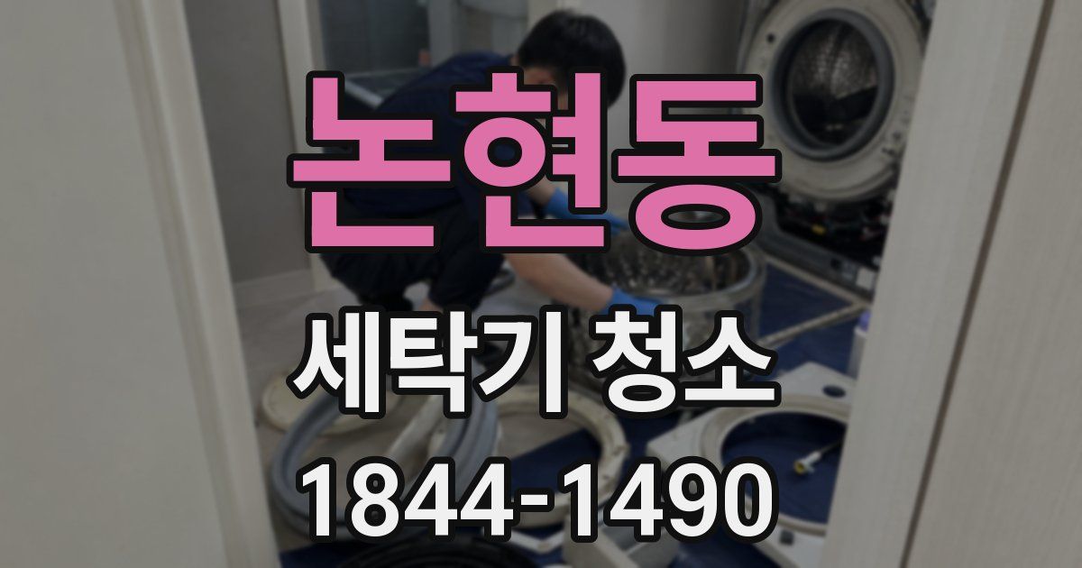논현동 세탁기 청소