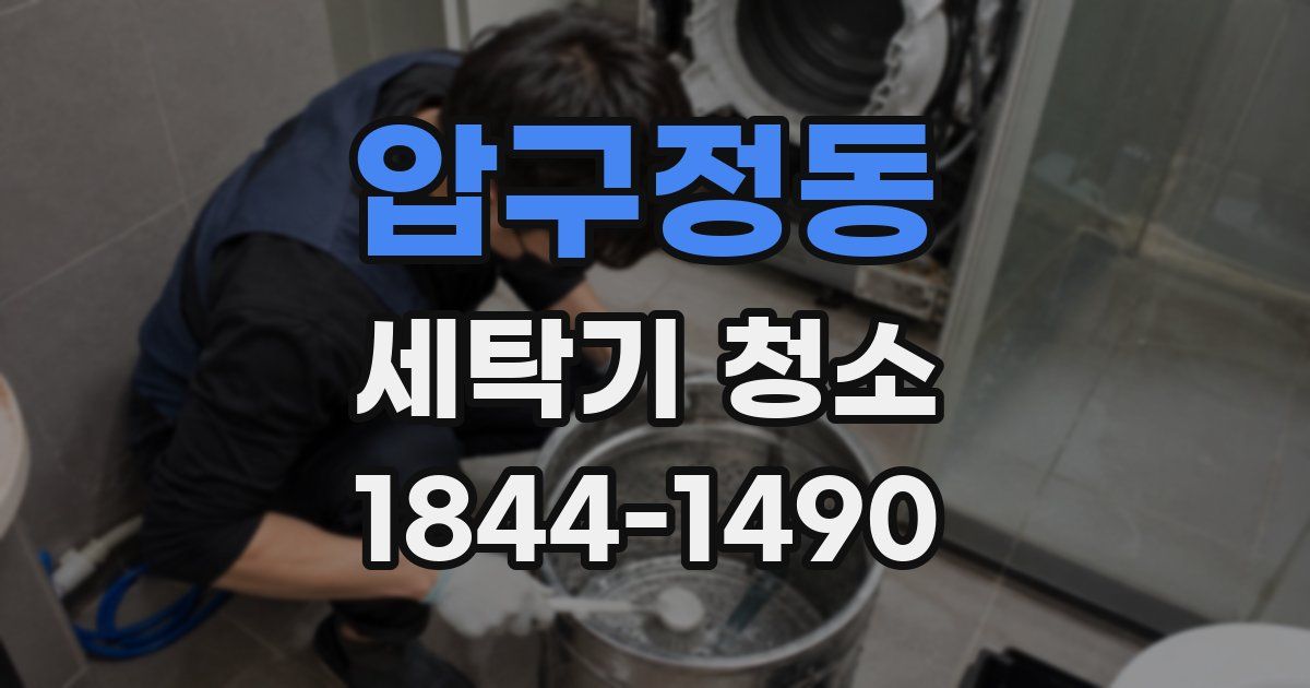 압구정동 세탁기 청소