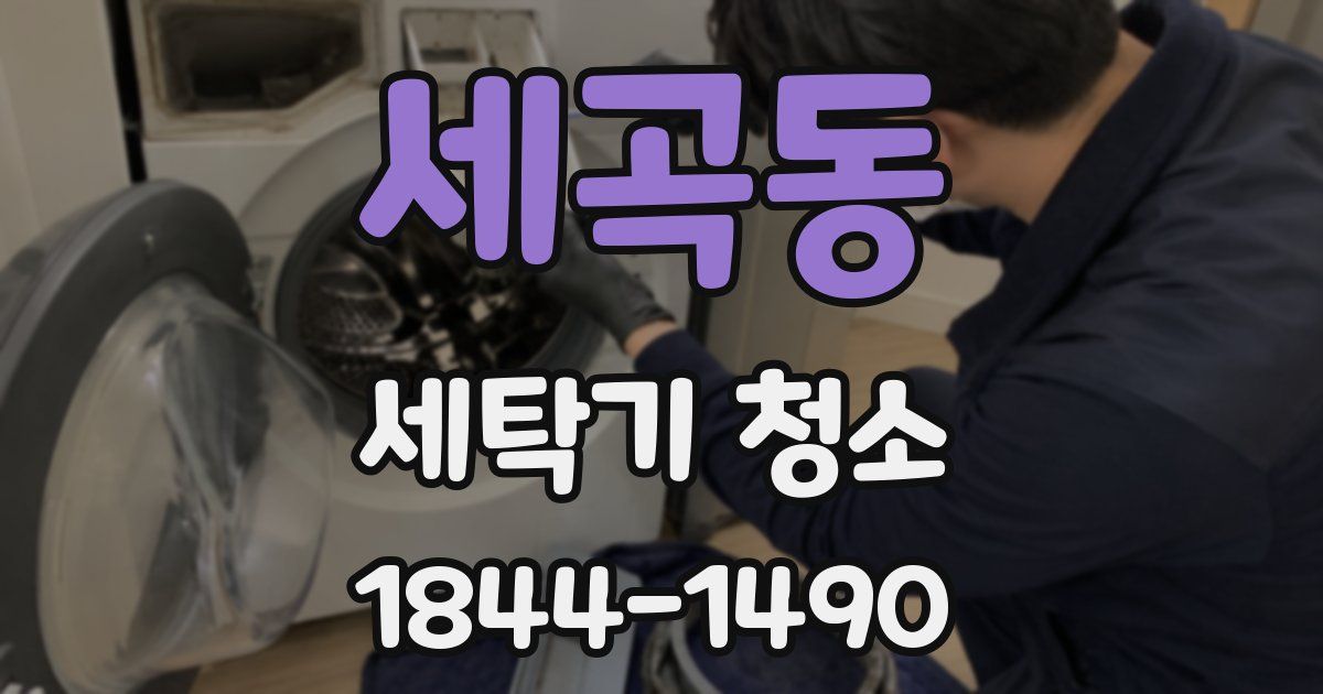 세곡동 세탁기 청소