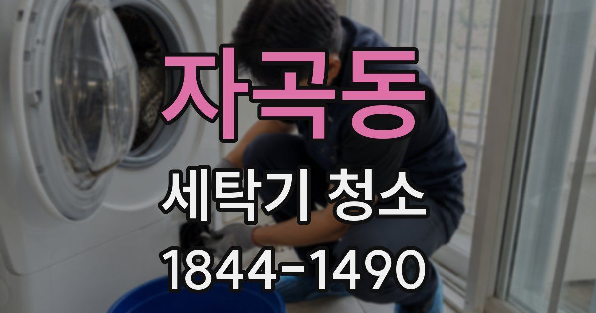 자곡동 세탁기 청소
