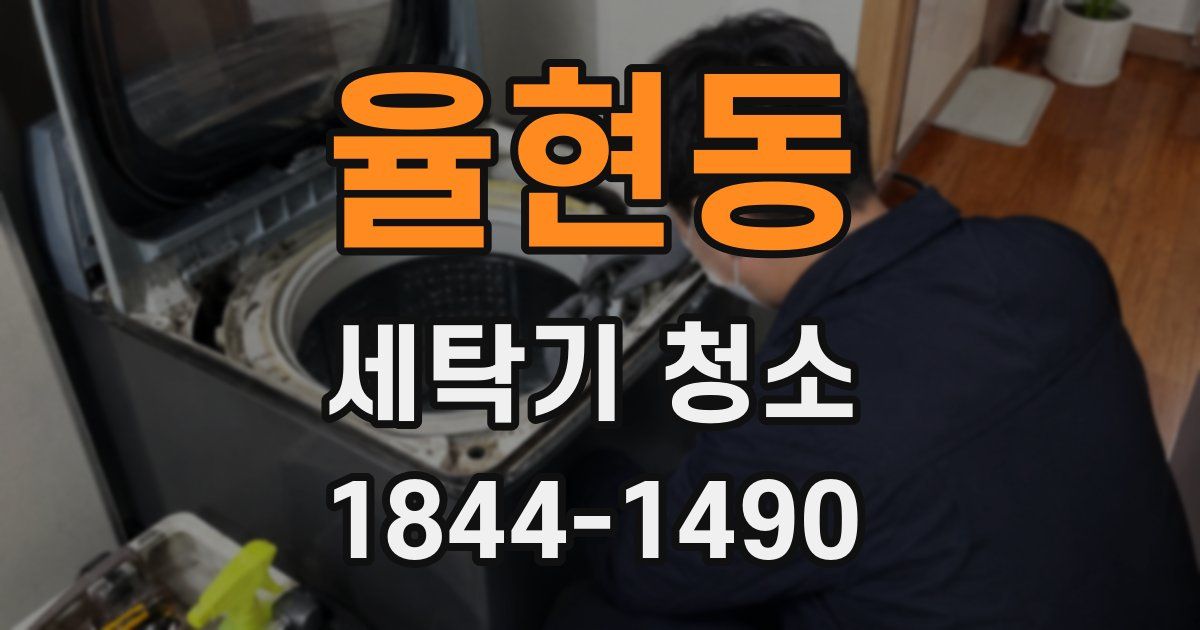 율현동 세탁기 청소