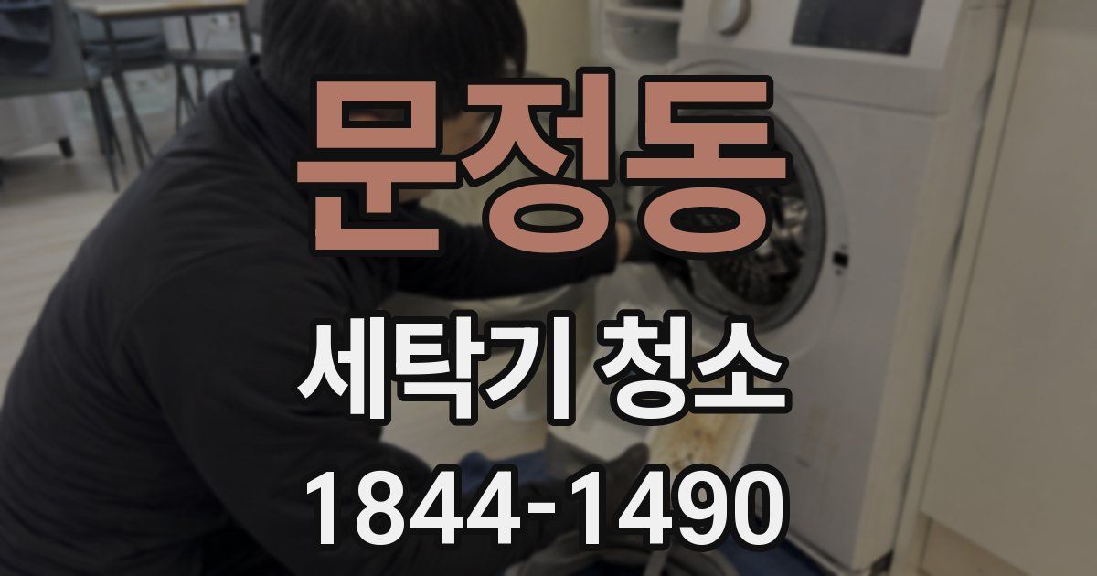 문정동 세탁기 청소