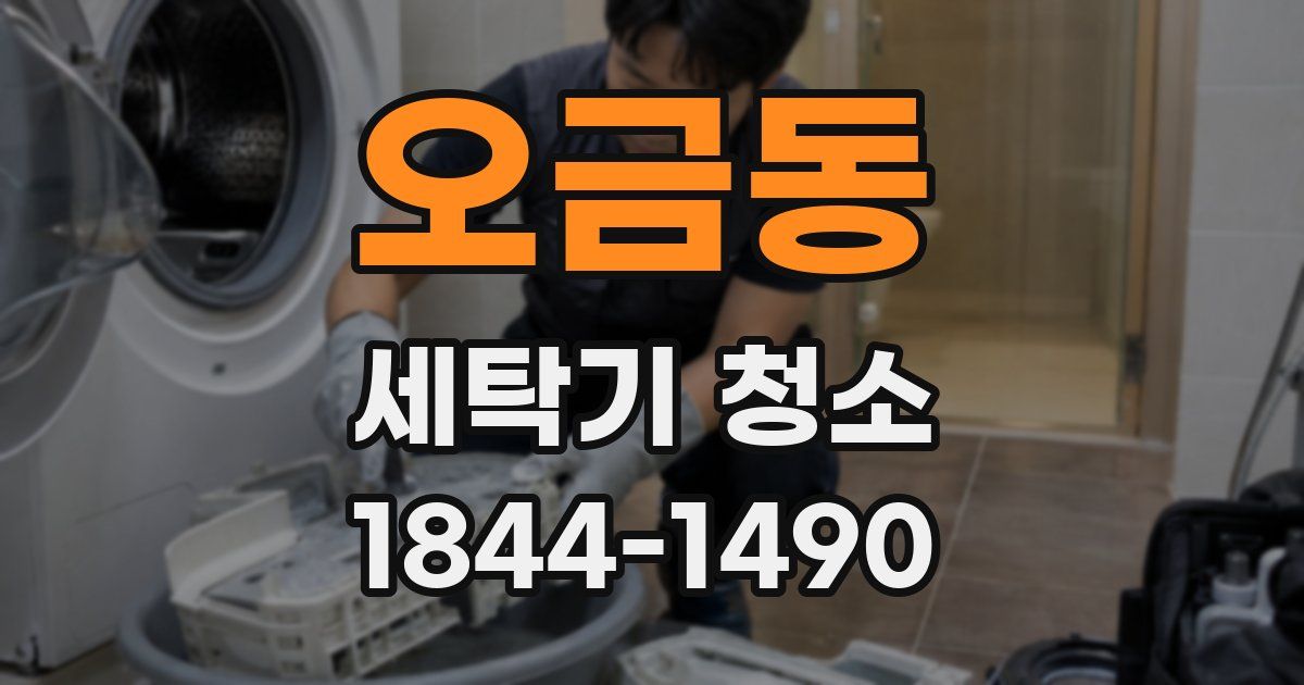 오금동 세탁기 청소
