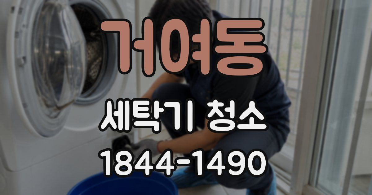 거여동 세탁기 청소