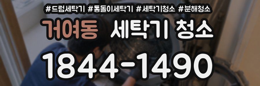 거여동 세탁기 청소