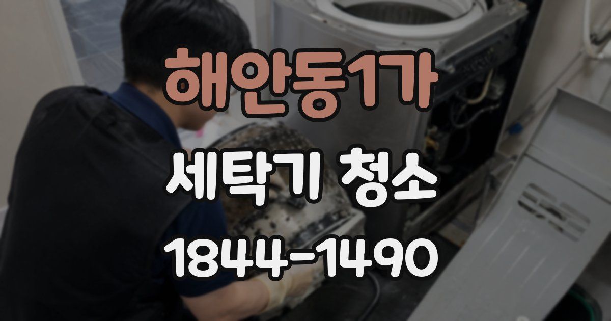 해안동1가 세탁기 청소
