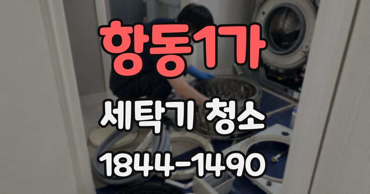 항동1가 세탁기 청소
