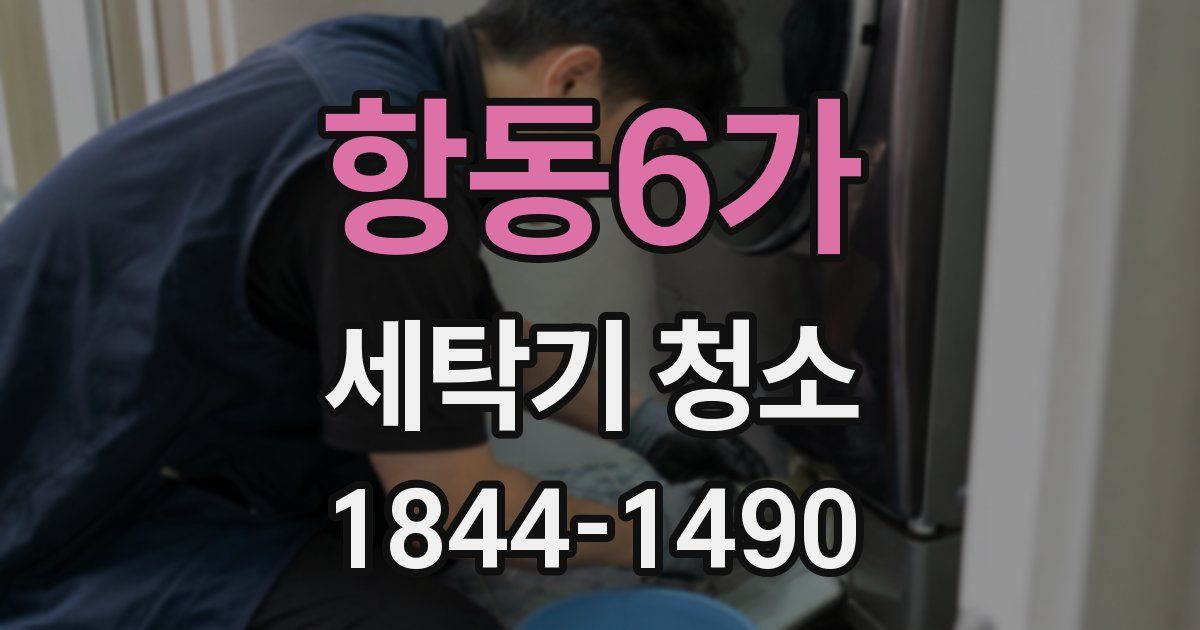 항동6가 세탁기 청소