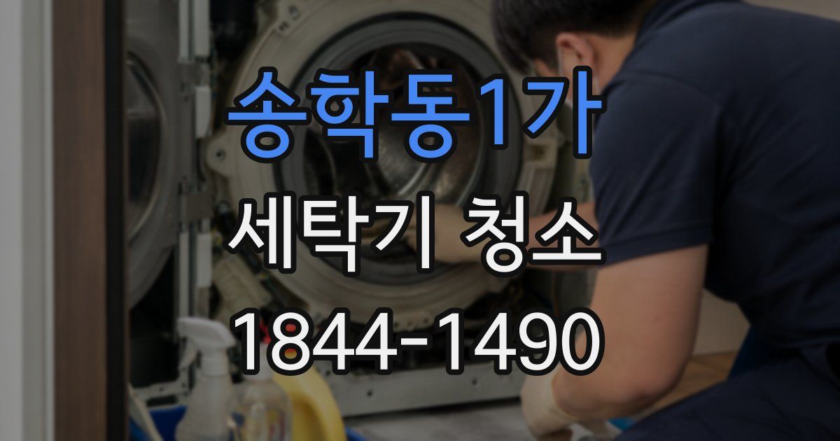 송학동1가 세탁기 청소