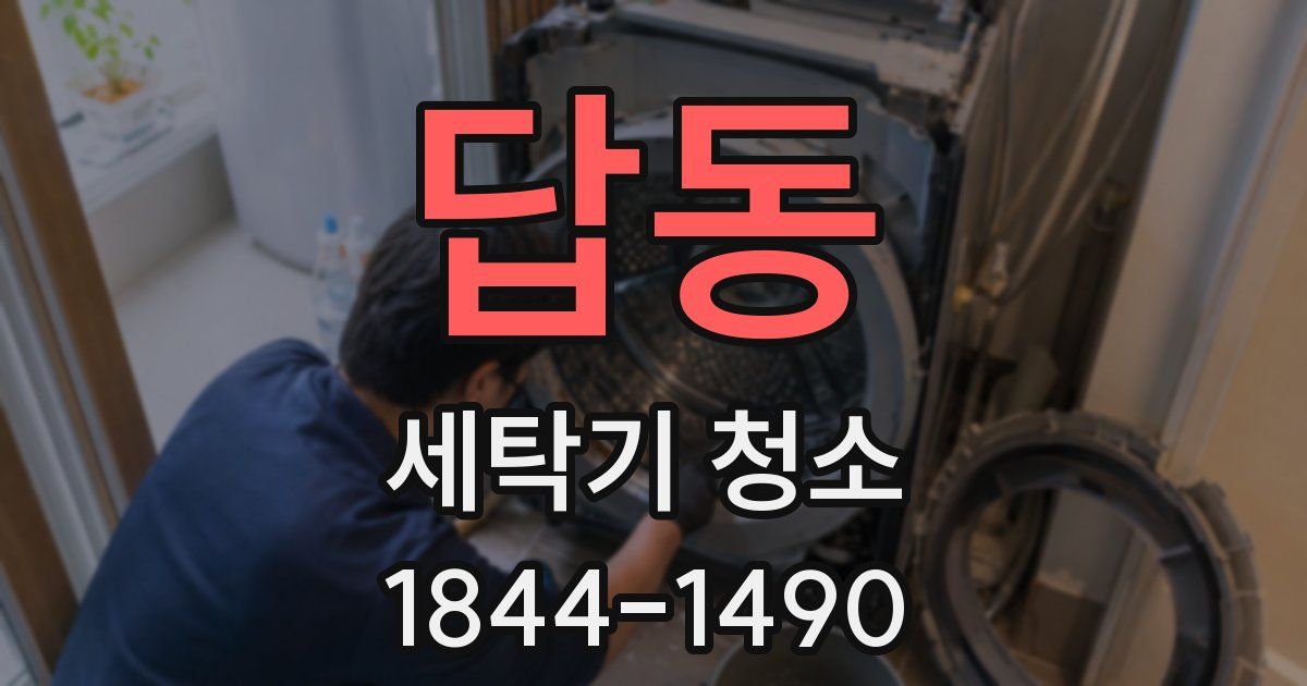 답동 세탁기 청소