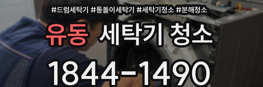 유동 세탁기 청소
