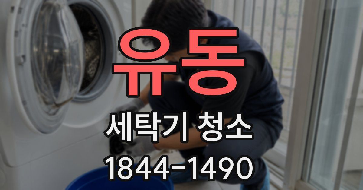 유동 세탁기 청소