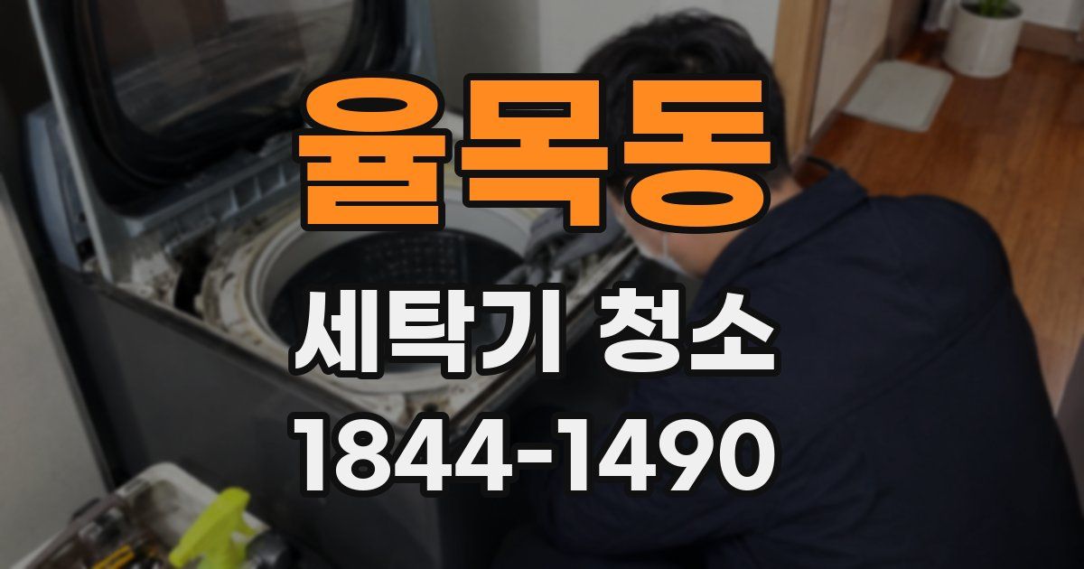 율목동 세탁기 청소