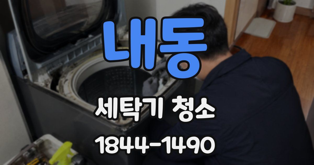 내동 세탁기 청소