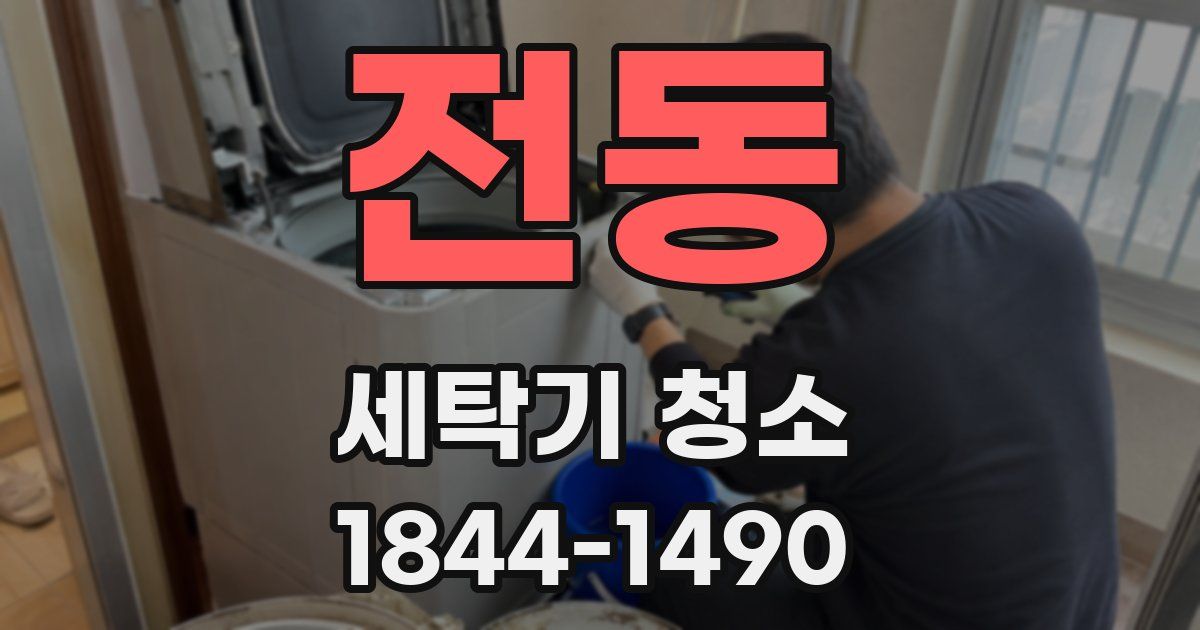 전동 세탁기 청소