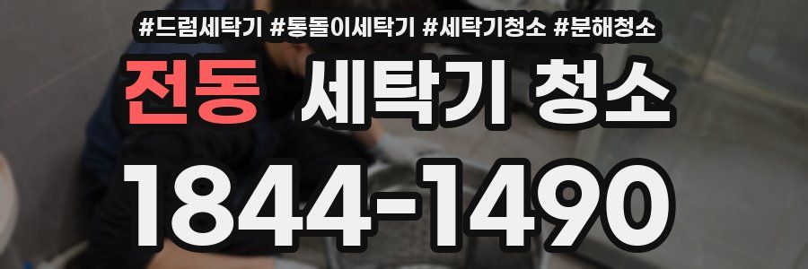 전동 세탁기 청소