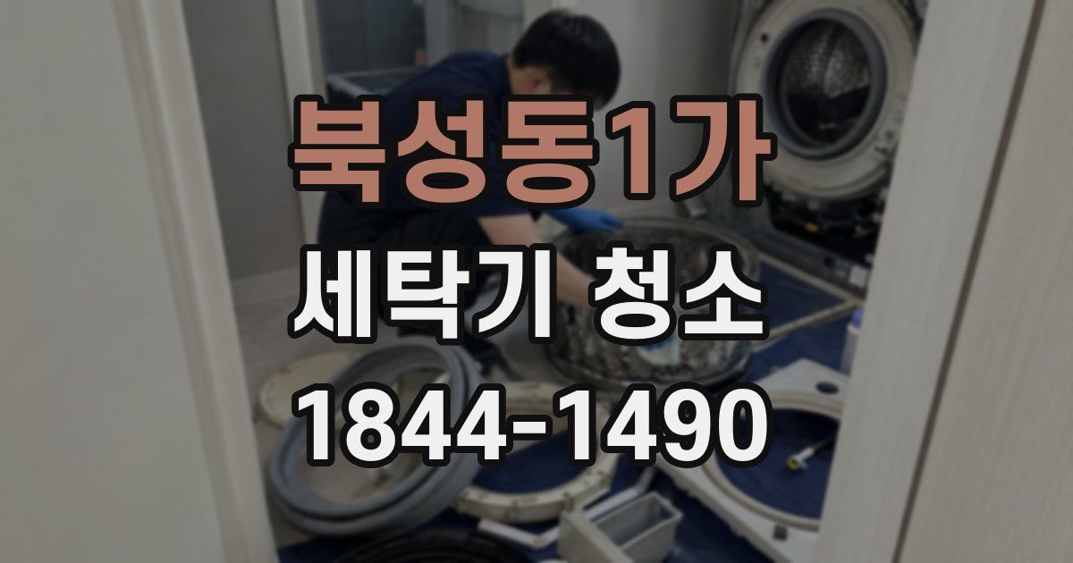 북성동1가 세탁기 청소