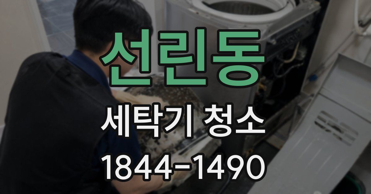 선린동 세탁기 청소