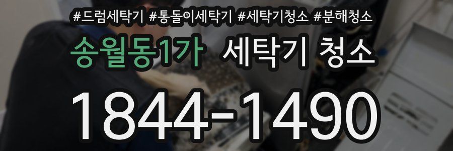 송월동1가 세탁기 청소