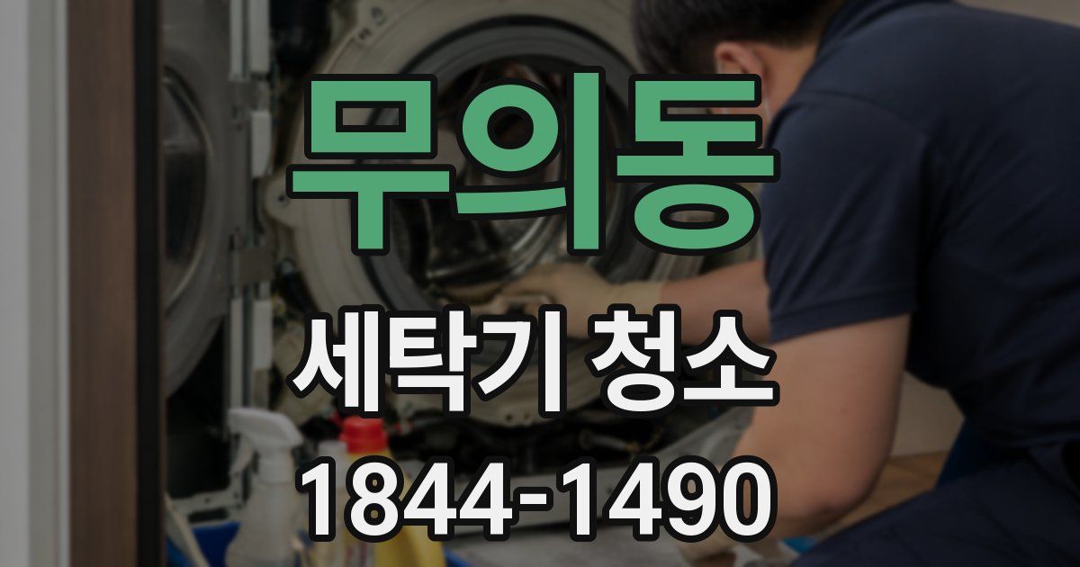 무의동 세탁기 청소