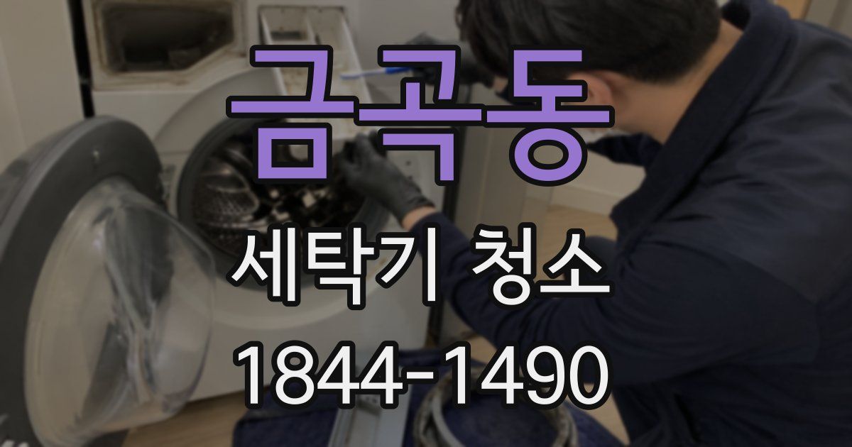 금곡동 세탁기 청소