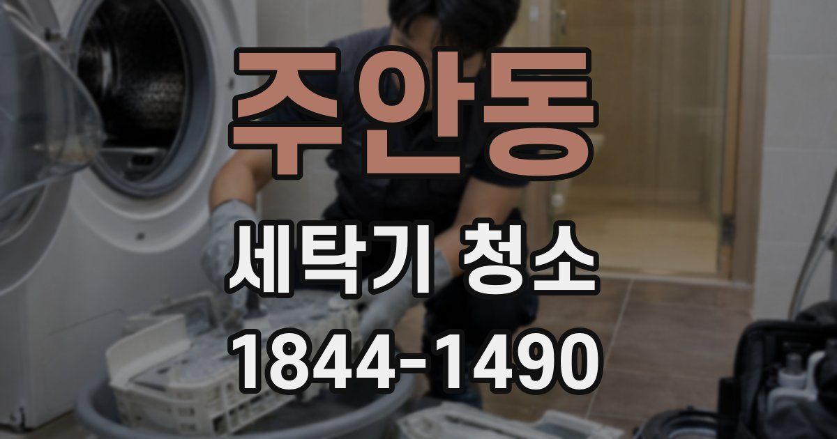 주안동 세탁기 청소