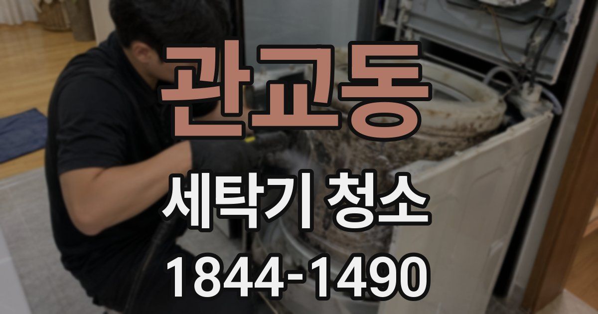 관교동 세탁기 청소