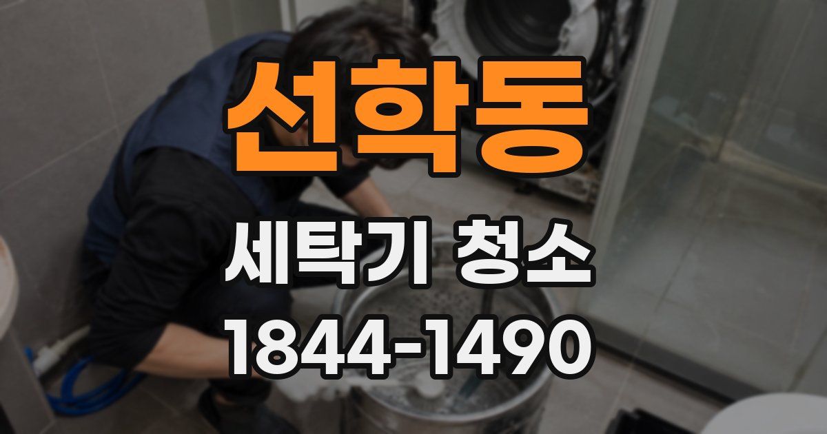 선학동 세탁기 청소