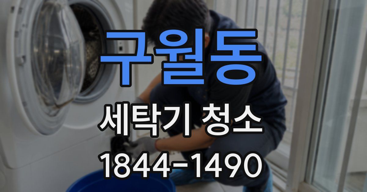 구월동 세탁기 청소