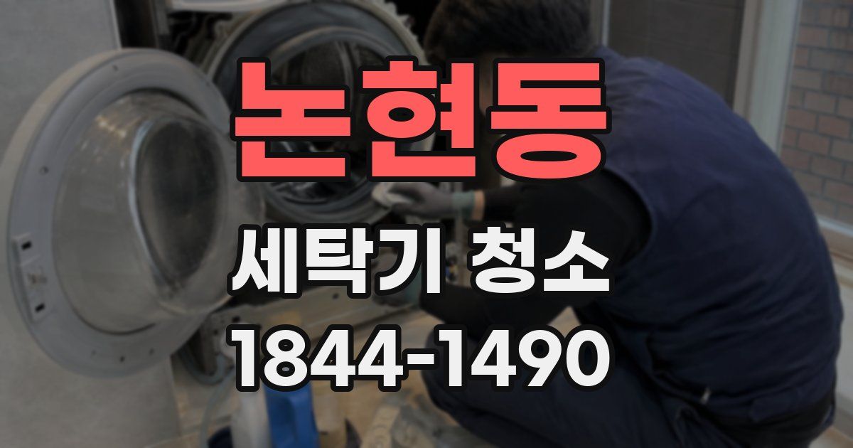 논현동 세탁기 청소