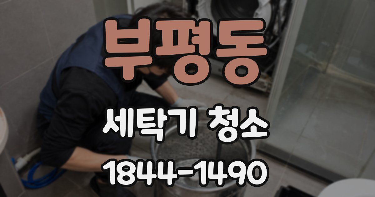 부평동 세탁기 청소