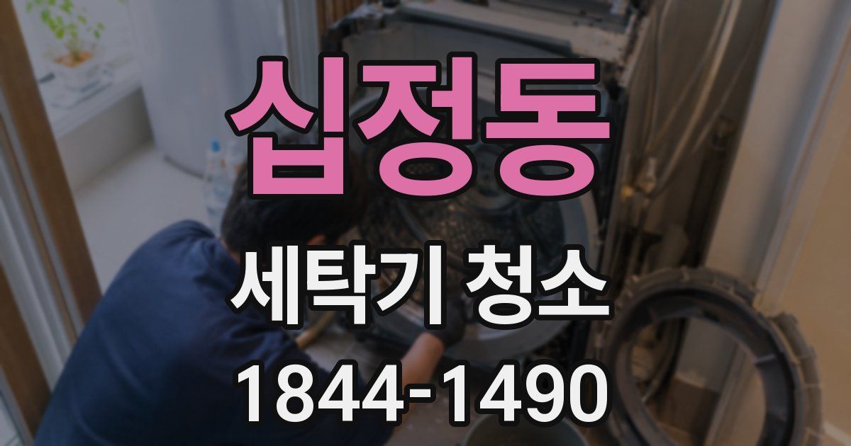 십정동 세탁기 청소