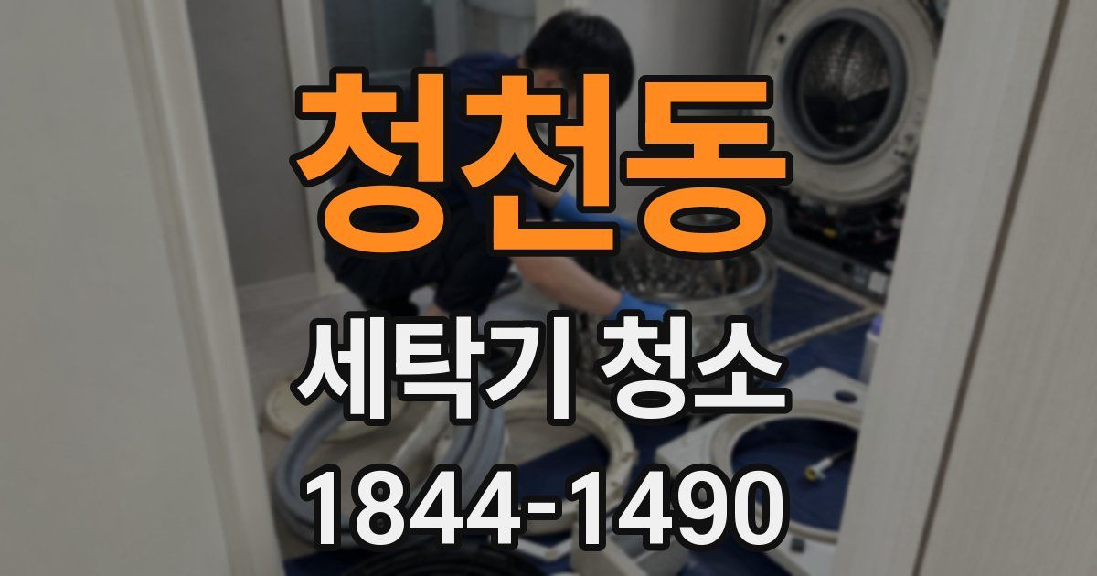 청천동 세탁기 청소
