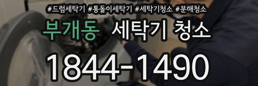 부개동 세탁기 청소