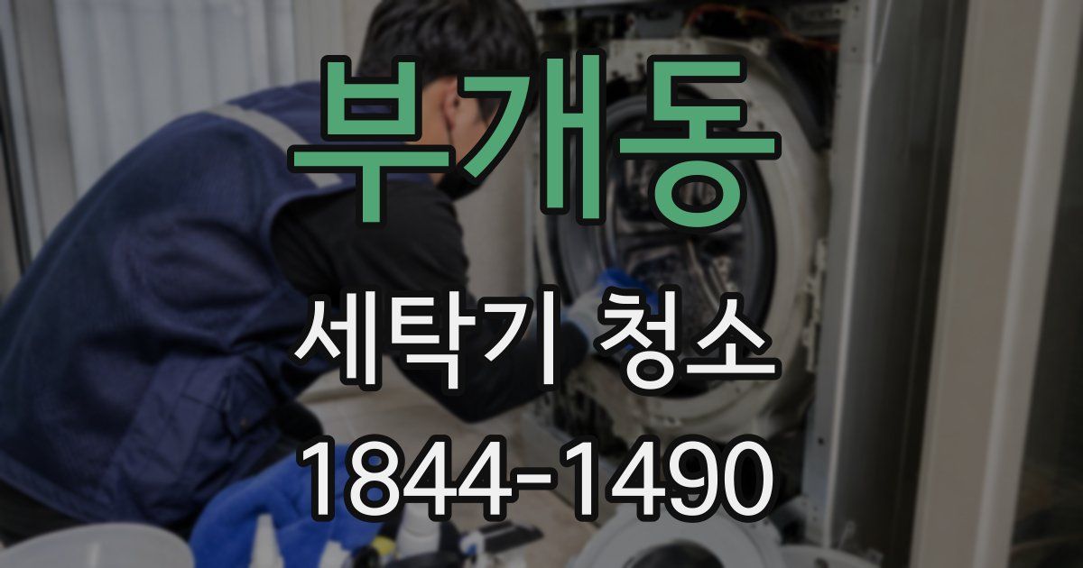 부개동 세탁기 청소