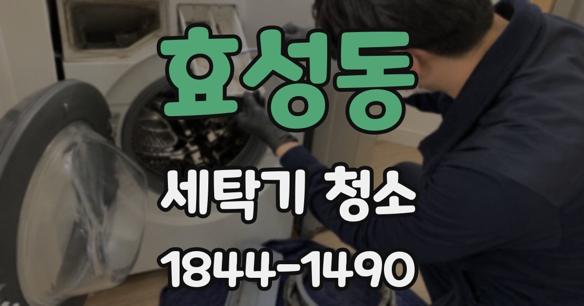 효성동 세탁기 청소